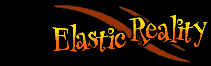 Elastic Reality